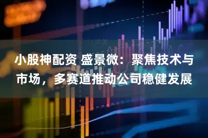 小股神配资 盛景微：聚焦技术与市场，多赛道推动公司稳健发展