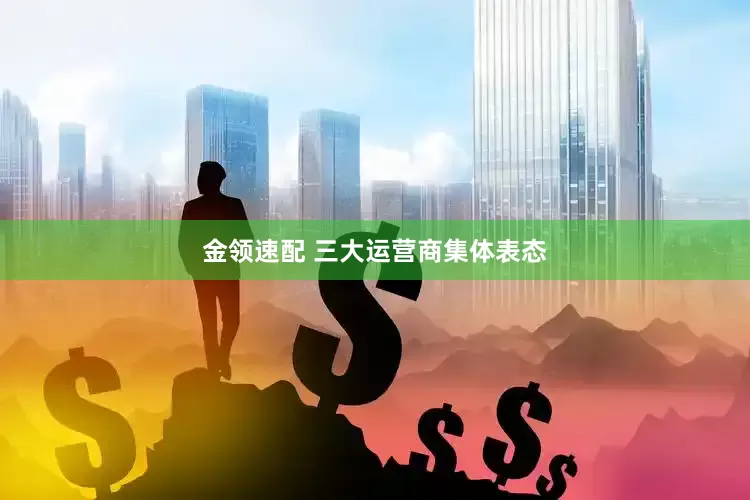 金领速配 三大运营商集体表态