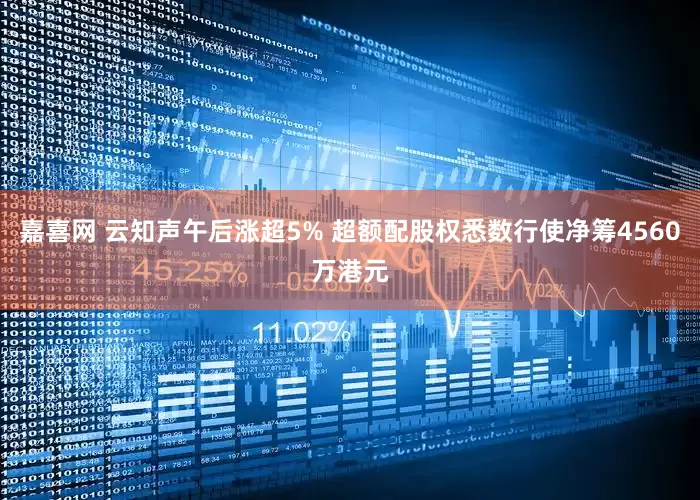 嘉喜网 云知声午后涨超5% 超额配股权悉数行使净筹4560万港元